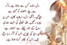 Dil Zinda Kaysay Hota Ha