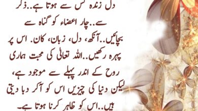 Dil Zinda Kaysay Hota Ha