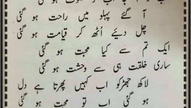 119868249 106196864576398 791917487086080551 n