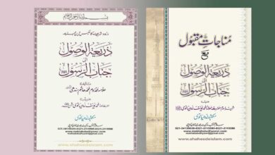 zarya tul wasol
